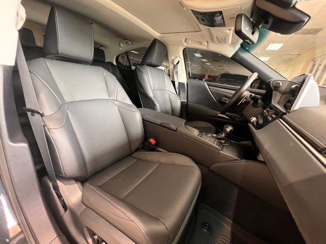 2022 Lexus ES300 Hybrid Premium