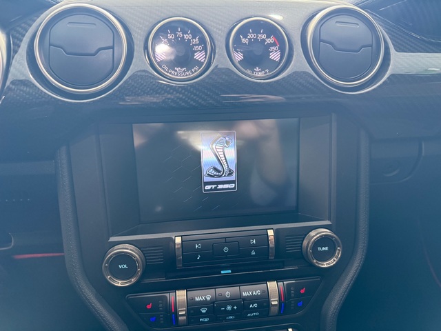 2019 Ford Mustang Shelby GT 350