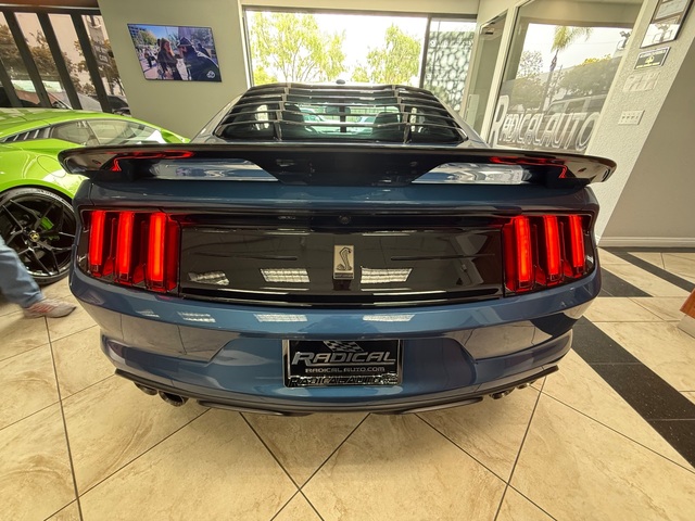 2019 Ford Mustang Shelby GT 350